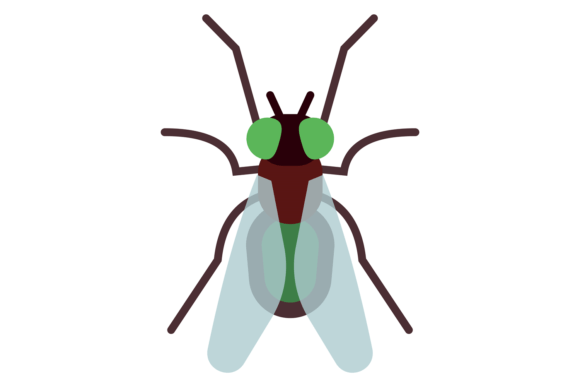 Fly Color Icon: Pest Symbol Wild Insect Visuals