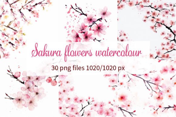 Sakura Flowers Watercolour: More Than Just a Pretty Font