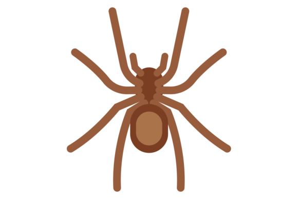 Spider Color Icon: A Bold Symbol for Wild Branding
