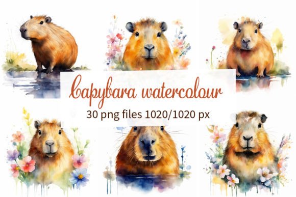 Unleashing Whimsy: The Capybara Watercolour Type